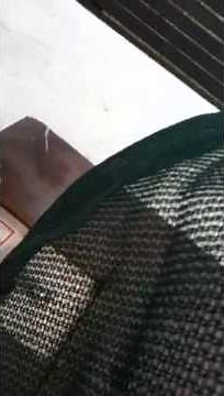 Home made bird trap for starlings and mynas!