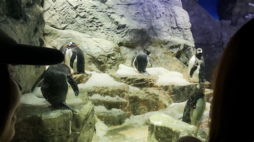 东瀛远征记（10）