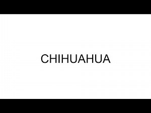How to Pronounce chihuahua | Pronunciation Guide