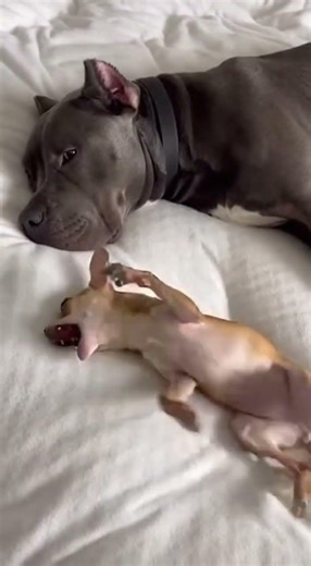 POV: You lost your Wi-Fi connection.