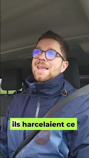 Caresser son chien : pourquoi le consentement est essentiel !