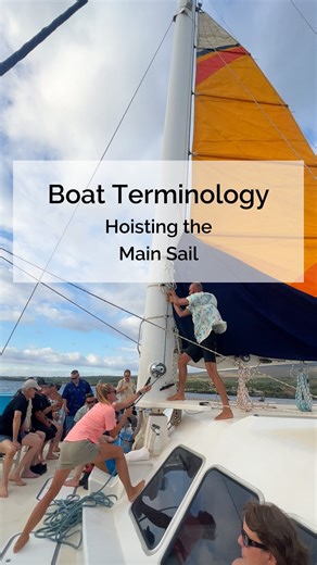 36 reactions | Ever wondered what it means to ‘hoist the main sail’? ⛵ Join us as our knowledgeable crew member breaks down this sailing term! #Sailing101 #LearnToSail #KaiKanani #CrewLife | Kai Kanani Sailing | Facebook