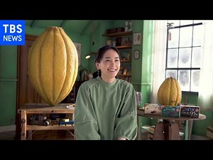 新垣結衣 過去に収集していた物