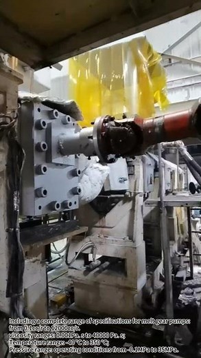 BOPP film extrusion melt pump #plastic extruder #polymer gear pump