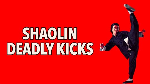 Shaolin Deadly Kicks (1979)