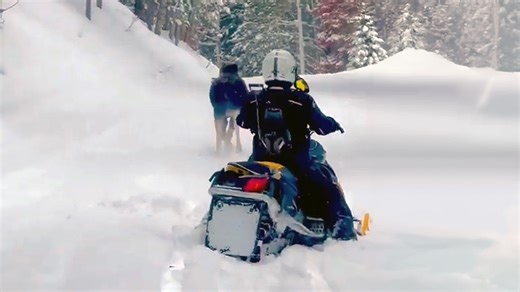 Moment 1,500lb moose charges snowmobiler as he desperately tries to escape