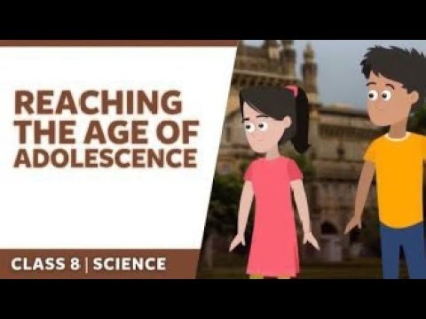 Factorisation, Class- 8,Maths