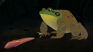 Wild Kratts - Bullfrog: Food and Health Video | PBS KIDS