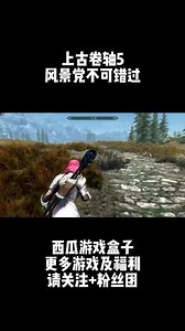 能玩上古卷轴5整合包的电脑配置