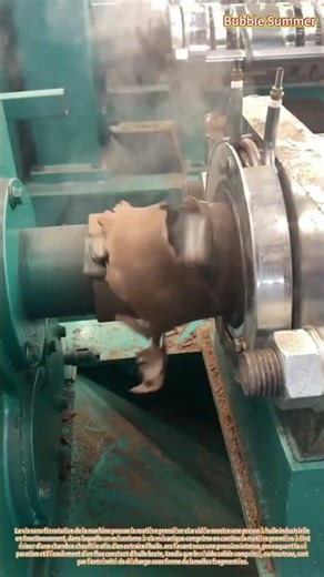 Extraction d'huile : pressage mécanique dans une usine de transformation