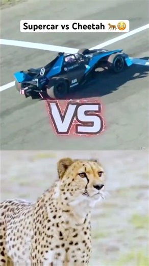 I Raced a Cheetah 😱 | World’s Fastest Animal Challenge 🐆