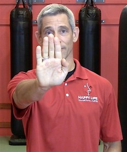 How to Palm Heel Strike Without Breaking Your Wrist! - Sensei Ando