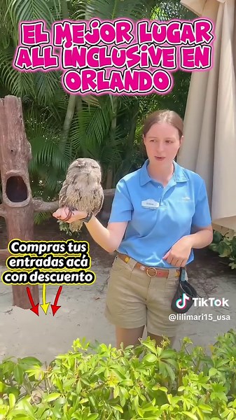 ¿Un oasis tropical en Orlando con comida, bebidas y atracciones ILIMITADAS? Existe y se llama Discovery Cove 🦜🍹 Literalmente pagas una entrada y te olvidas de todo lo demás: ✨ Desayuno, almuerzo, bebidas y snacks ilimitados todo el día ✨ Equipo de esnórquel, toallas y bloqueador solar reef-safe incluidos ✨ Esnórquel gigante con mantarrayas y peces tropicales ✨ Entrada al aviario interactivo y río de aguas cristalinas Etiqueta a la persona que necesita un día de relax VIP como este 👇 #tiktokgo