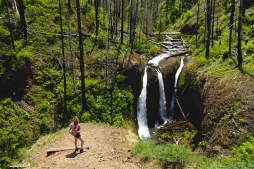 Tara Kavanagh Triple Falls is a personal favorite with the trailhead by Horsetail Falls, it winds upstream of the Oneonta gorge punch bowl, and has different beautiful spots the whole way up to the bowl with three cataracts! | Jonathan Prepchuk