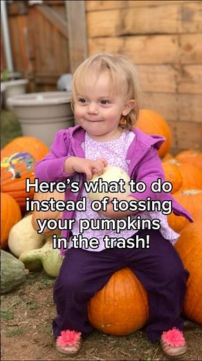What to Do With Leftover Pumpkins After Halloween (Don’t Toss Them!)