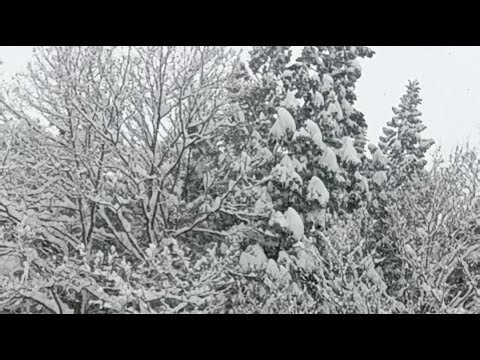 【秋田県の空ライブ配信】新年疲れの方、地元に戻れなかった方、この空で繋がりましょう！