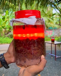 2M views · 33K reactions | അമ്പതു ദിനരാത്രങ്ങൾ കരസ്പർശം ഏൽക്കാത്ത പാനീയം... ഇഷ്ട്ടപ്പെട്ടാൽ ഷെയർ ചെയ്യാൻ മറക്കല്ലേ #foodie #food #drinks #wine #howto | Camp Setters by താടിക്കാരൻ | Facebook