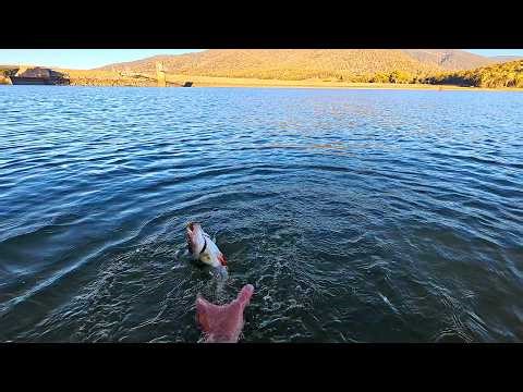 Redfin Galore: Fishing At Lake Nillahcootie