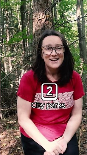 Top 10 Forest Bathing Spots for Beginners | Nature Therapy