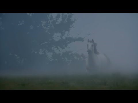 Wildfire featuring Cody Johnson (Official Video)