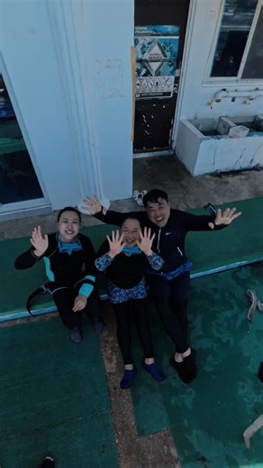 #세부오픈워터 #세부제이다이빙 #세부스쿠버다이빙 #세부스킨스쿠버 #세부다이빙샵 #세부다이빙 #세부스킨스쿠버자격증 #세부펀다이빙 #세부padi #세부스쿠버 #cebudiving #cebuscuba #cebutour#cebussi #cebuadventure #cebupadi #cebufundivers #cebutravel #cebuj #cebuphilippines🇵🇭 #oceanlife #oceanphotography #marinelife #marinephotography #marinelove | Cebu j dive resort