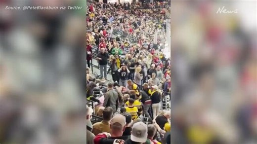 Cop goes viral after fans have all-out brawl in wild video