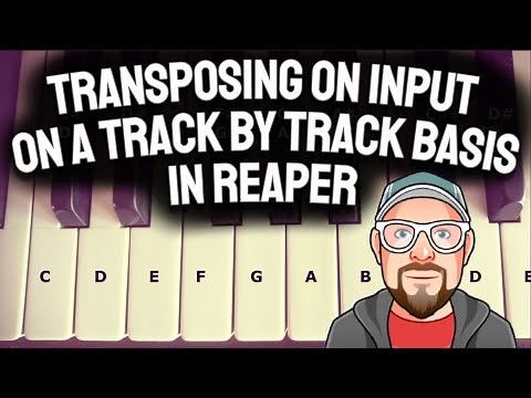 Transposing on Input - On a Track by Track Basis in REAPER
