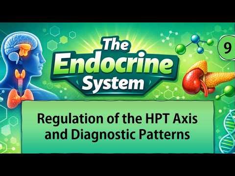 9. Understanding the HPT Axis