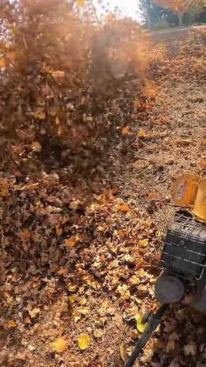 Mowing Hacks: Save Time and Get a Cleaner Lawn