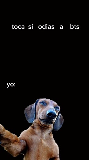 Videos de Jaco_ff (@jacobo_2012) con “sonido original - 🎧”