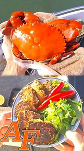1.2K views · 39 reactions | Catch and Cook Crab Cakes while catching Cod and Mangrove Jack. First I steam the mud crab in a pot, then I show you how to make delicious crab cake recipe. Unfortunately I crash my drone in this video, not a happy camper!! | Andy's Fishing Wild Cook on Youtube | Facebook