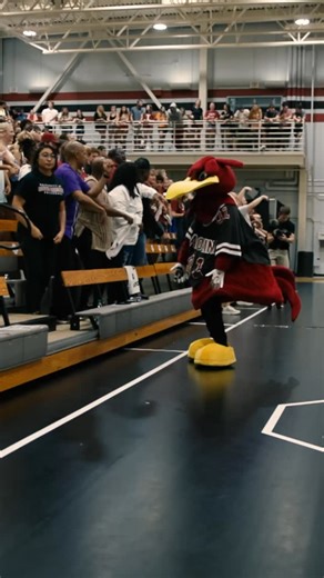 In the CVC you don’t just HEAR you crowd, you FEEL it. | University of South Carolina Volleyball