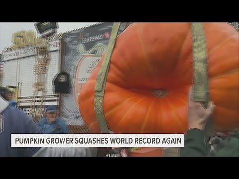 Minnesota man grows world's biggest pumpkin