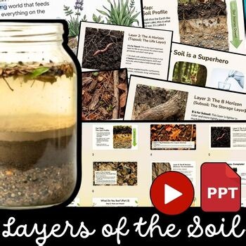 Layers of Soil 3rd Grade Label – Layers of Soil Activity and Layers Soil Color
