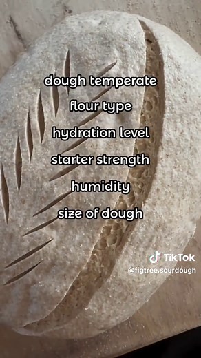 Mastering Bulk Fermentation for Perfect Bread