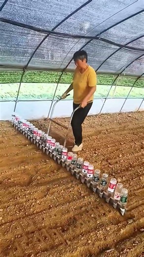 Smart and Cheap DIY Garden Row Marker Using Old Water Bottles