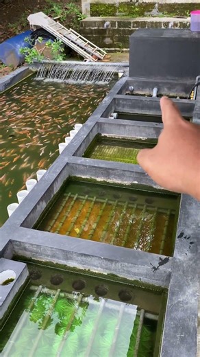 How the RAS system pool works