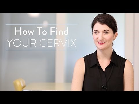 Conception 101: How To Find Your Cervix