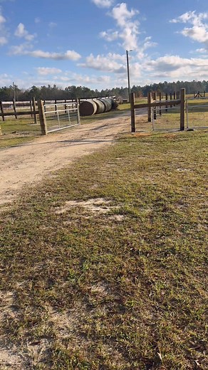 Feeding the animals. #iamlarrybjr #country #homesteading | Larry Brown Jr.