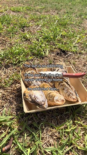 The Addictive Nature of Sun Exposure