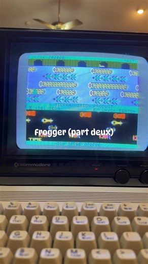 Frogger (part deux) | We Fix Stupid Computers - Lynlinks Technologies, Inc.