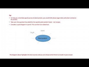 Protein and Fat - AQA GCSE Food Preparation