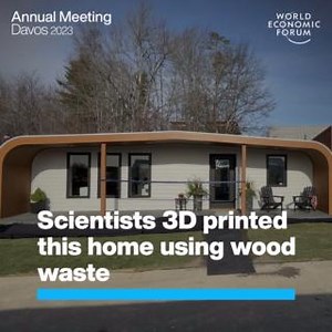 317K views · 10K reactions | The whole building is made from...