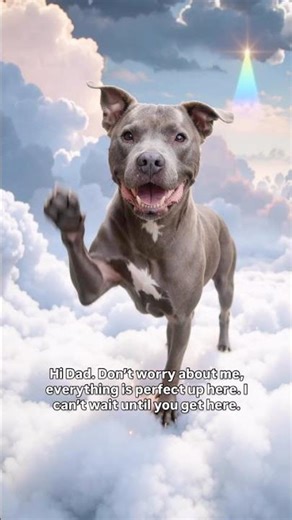 Tribute Tails: Brutus