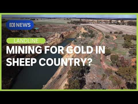 What happens when an old gold mine reopens in a regional farming town? | Landline | ABC News