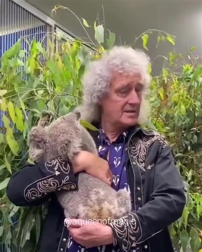 Brian May en Australia, en febrero de 2020 🐨 #BrianMay #Queen | A Queen Of Magic