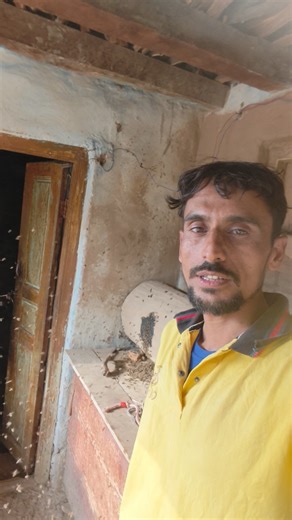 Fresh Swarm Catch! Bees Entering Log Hive | #honeybees #shorts