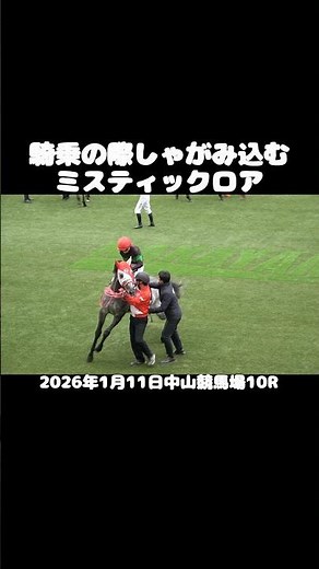 Dangerous! Mystic Roar crouches while the jockey rides #shorts #horseracing #dangerous