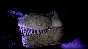 Join us for our first-ever Halloween nighttime event as the Bronx Zoo Dinosaur Safari transforms into Dinosaurs in Darkness: The Hatching! It’s an immersive Halloween walk-through experience where you’ll find a rare dinosaur egg intact after 66 million years. What could possibly go wrong? Don’t miss out on this thrilling adventure on Fri & Sat. evenings throughout October! | Bronx Zoo