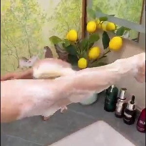 🎉Ideální volba pro vás!🎉 ✨ Dlouhá rukojeť BACKBRUSH pro exfoliační, odnímatelný kartáč na hřbet s přírodními štětinami. ✨ 🎉Ideální volba pro vás!🎉 🛒 Kup nyní ▶ https://frilla.cz/výrobek/tekuty-koupelovy-kartac-s-dlouhou-rukojeti-backbrush/ ⚡ | Frilla